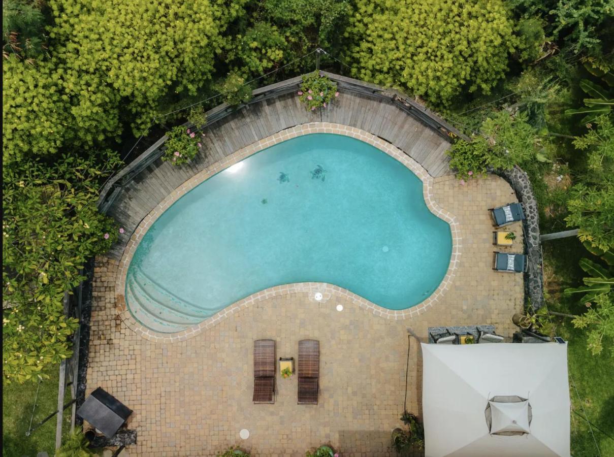 The Koi House With Pool Lejlighed Kailua-Kona Eksteriør billede